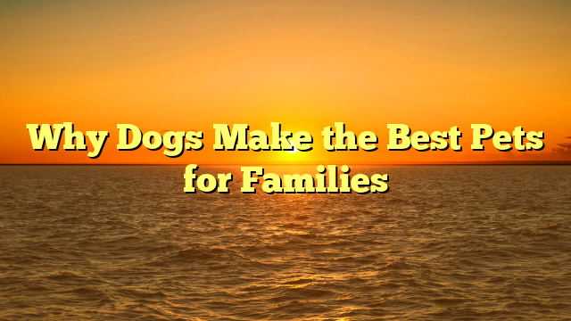 Why Dogs Make the Best Pets for Families