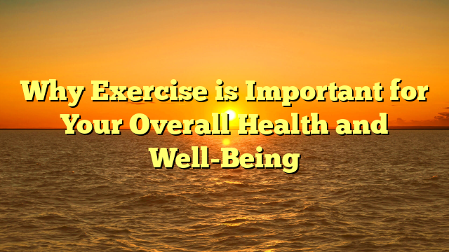 Why Exercise is Important for Your Overall Health and Well-Being