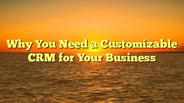 Why You Need a Customizable CRM for Your Business