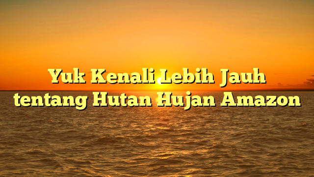 Yuk Kenali Lebih Jauh tentang Hutan Hujan Amazon